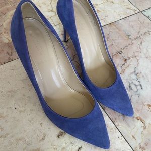 JCrew Everly Suede Pumps size 8 1/2